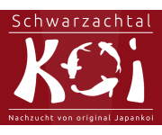 Schwarzachtal-Koi