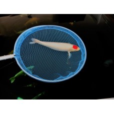 Keschernetz<br/>Ø-70cm Keschernetz<br/>Ø-70cm